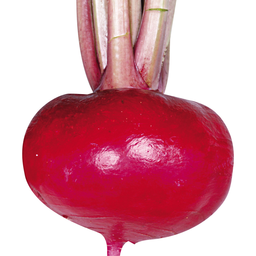 種 野菜たね カブ F1赤サラダカブ 1袋（4ml）
