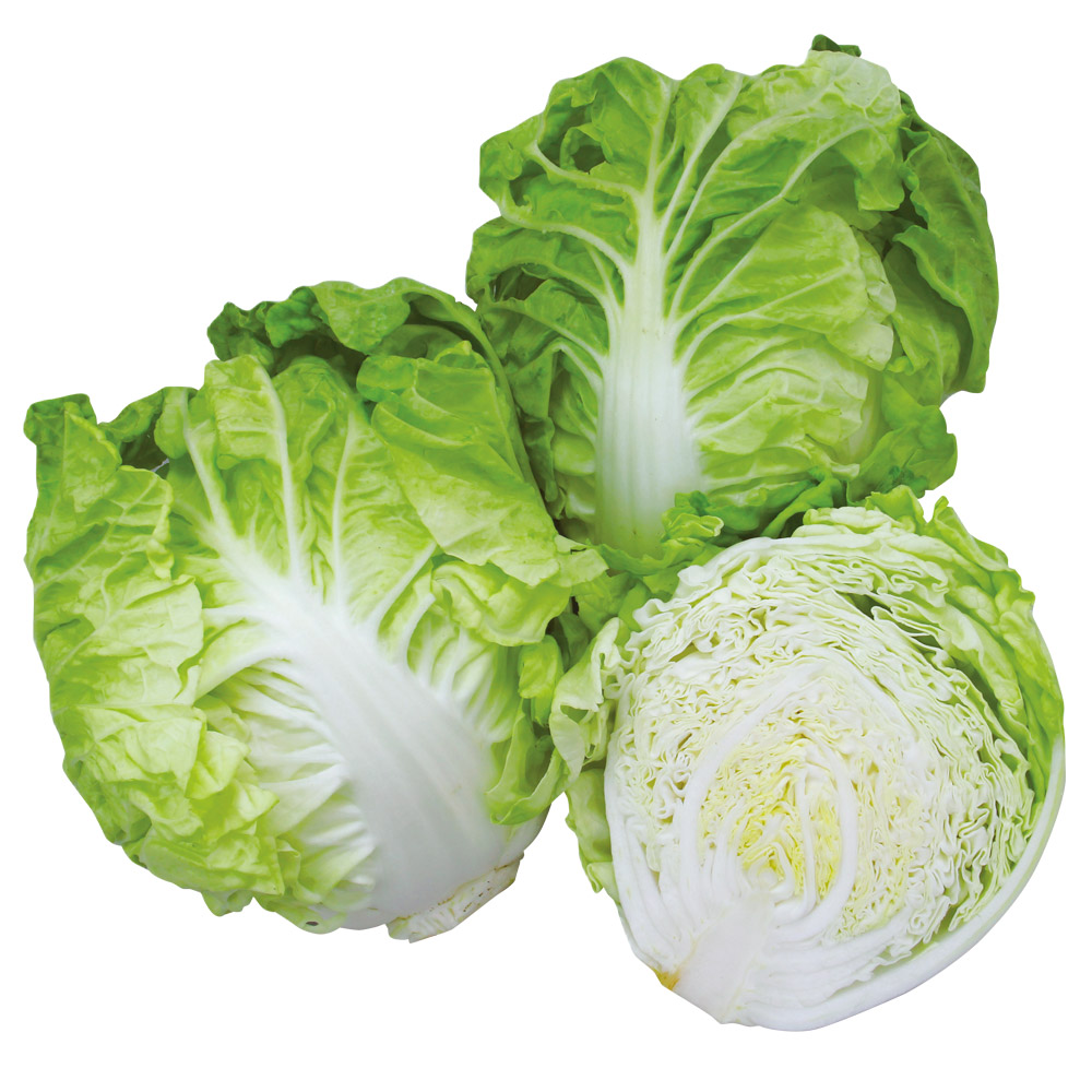 種 野菜たね ミニハクサイ F1まるごとサラダ 1袋（1ml）