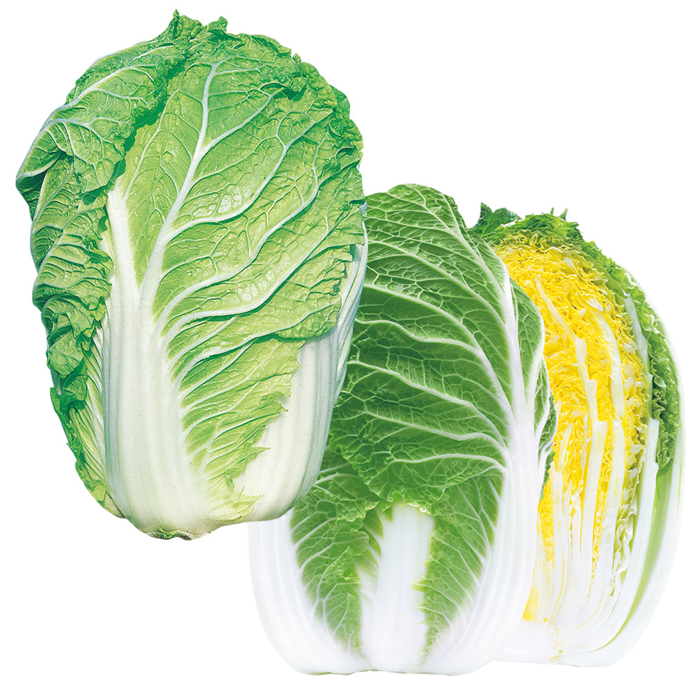 種 野菜たね リレー栽培たね 白菜たねリレー栽培セット 2種2袋