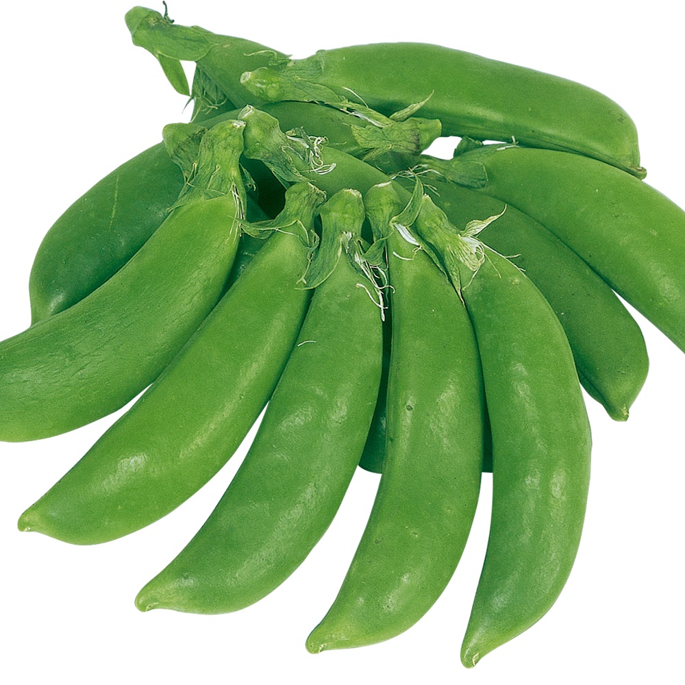 種 野菜たね マメ エンドウ サラダスナップ豌豆 1袋（30ml）