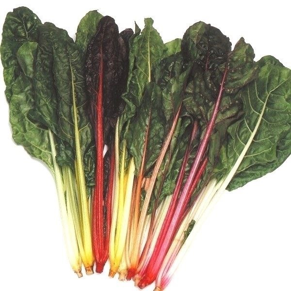 種 野菜たね 西洋野菜 スイスチャードMIX 1袋（4ml）