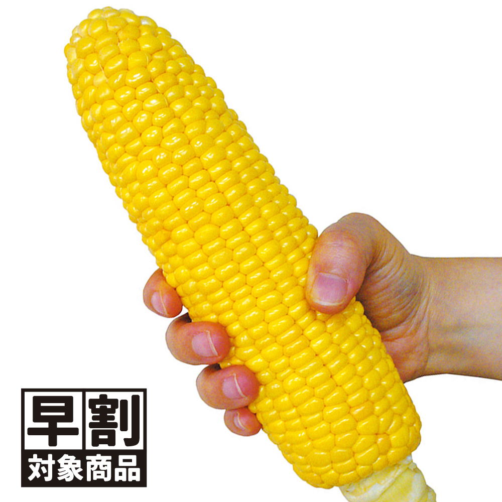 （早期予約野菜たね）種 野菜たね トウモロコシ F1スーパースイートビッグ 1袋（30ml）/27年春発送【送料グループ：67テ】