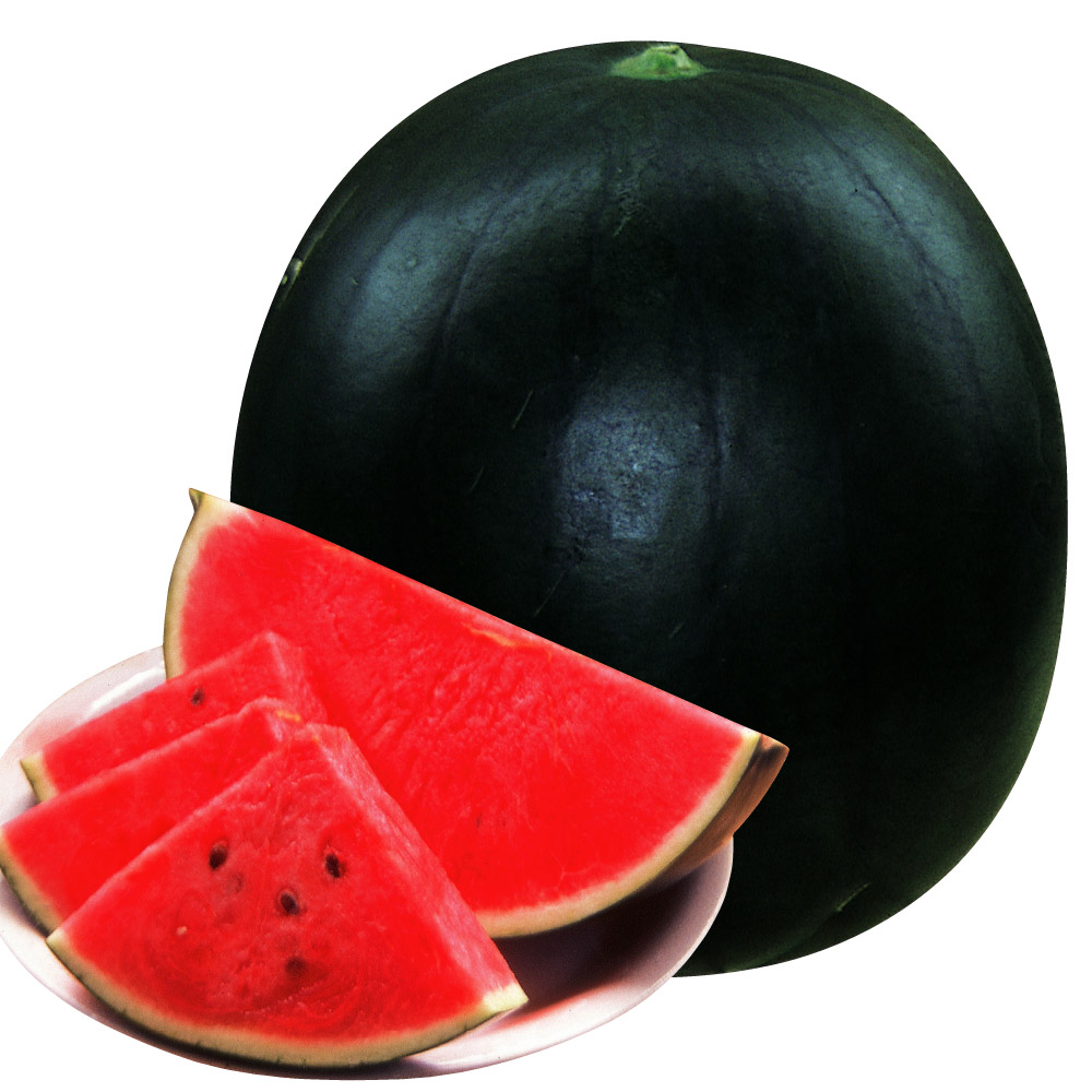 （早期予約野菜たね）種 野菜たね 中玉スイカ F1黒兵衛 1袋（15粒）/27年春発送【送料グループ：67テ】