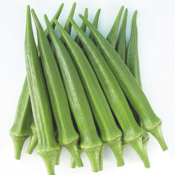 （早期予約野菜たね）種 野菜たね オクラ F1うまオクラ 1袋（10ml）/27年春発送【送料グループ：67テ】