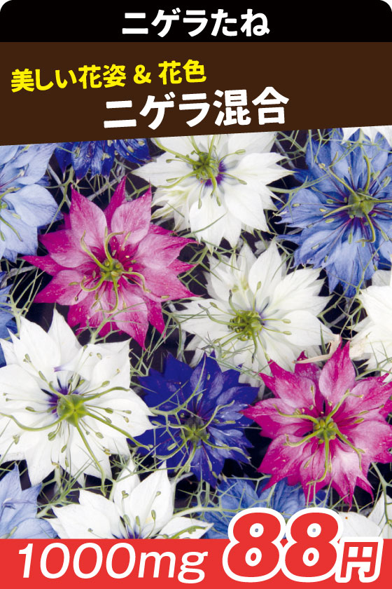 国華園オンラインショップ / 花たね