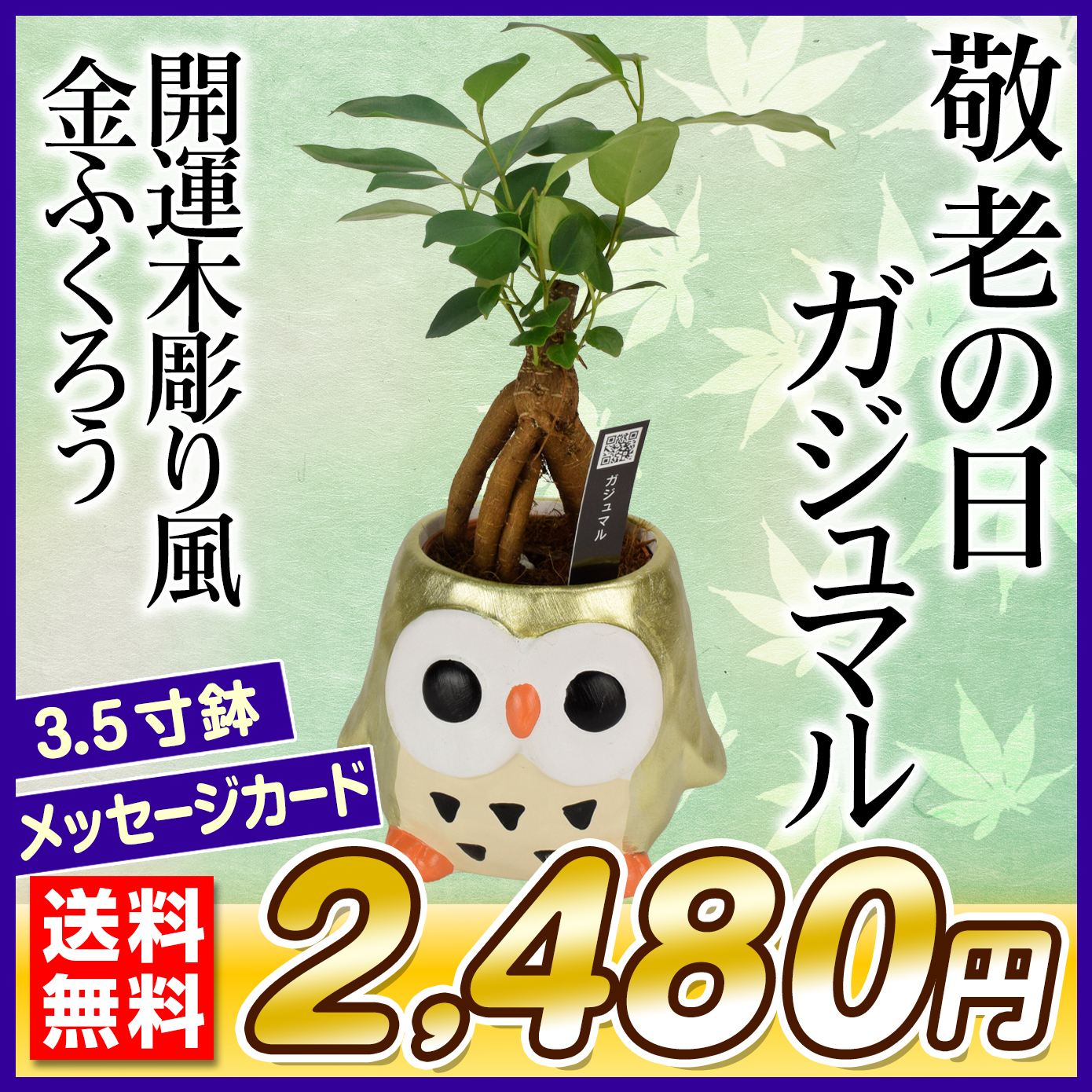 敬老の日 ギフト 観葉植物 ガジュマル 開運木彫り風 金ふくろう 1鉢 送料無料