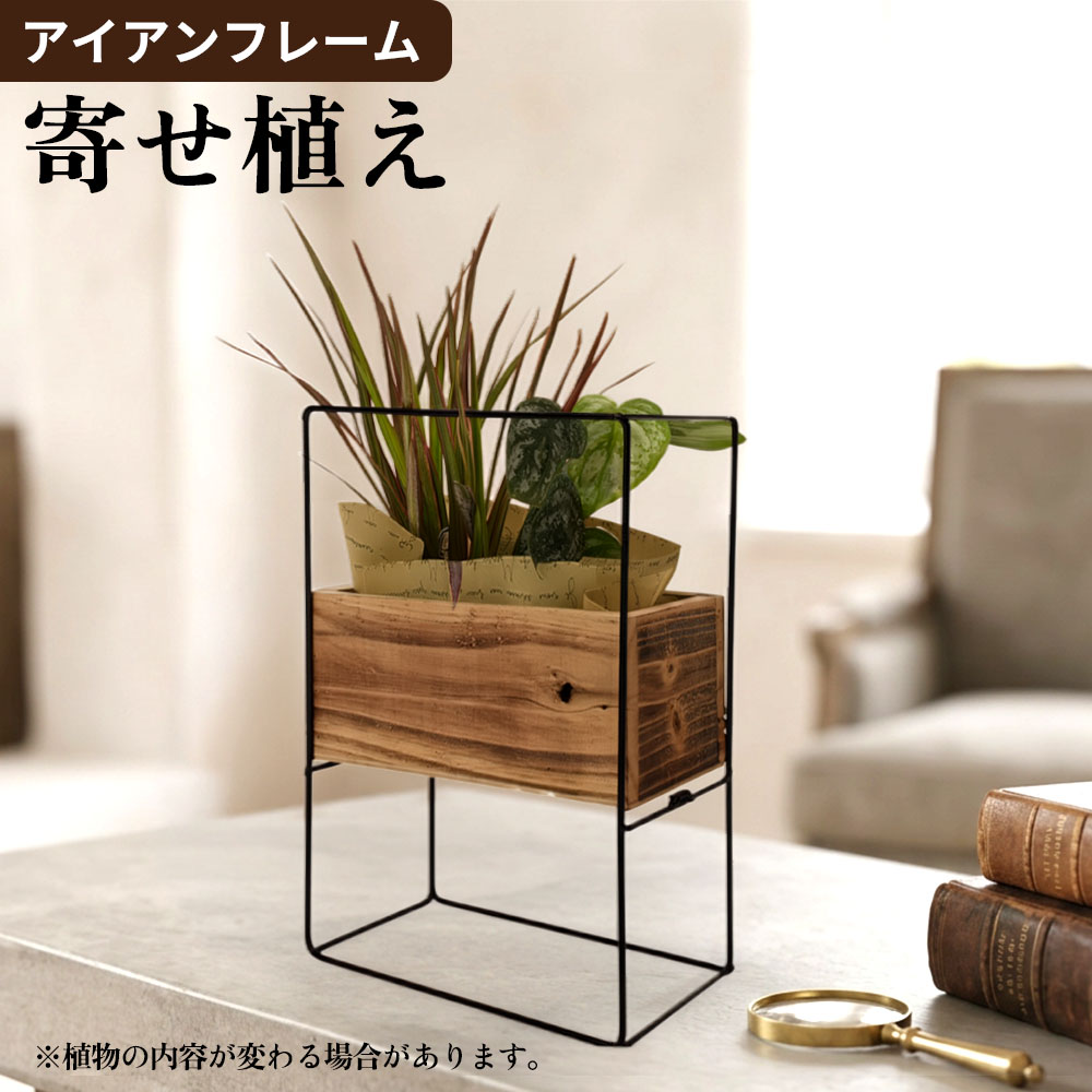 観葉植物 アイアンフレーム 寄せ植え 1個