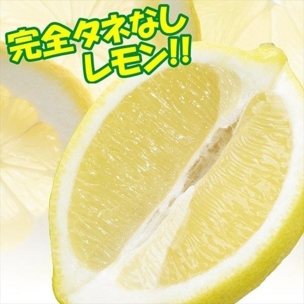 果樹苗 カンキツ レモンシードレス あや(R)