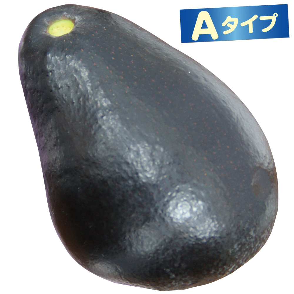 果樹苗 アボカド スチュワート Aタイプ 1株