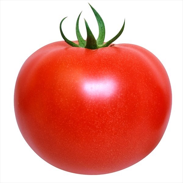種 野菜たね トマト F1こくうまパーフェクトEX 1袋(1ml) [特別カタログ]