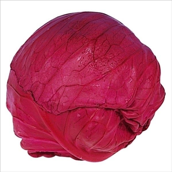 種 野菜たね キャベツ F1レッドボールキャベツ 1袋(0.5ml) [特別カタログ]