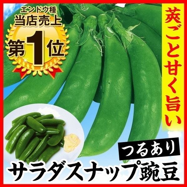 種 野菜たね マメ エンドウ サラダスナップ豌豆 1袋(30ml) [特別カタログ]