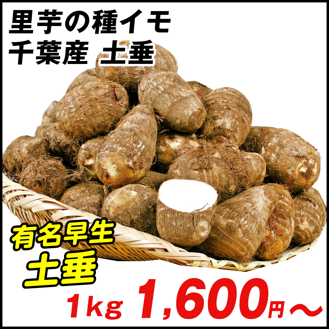 種いも 里いも 千葉産 土垂 1kg