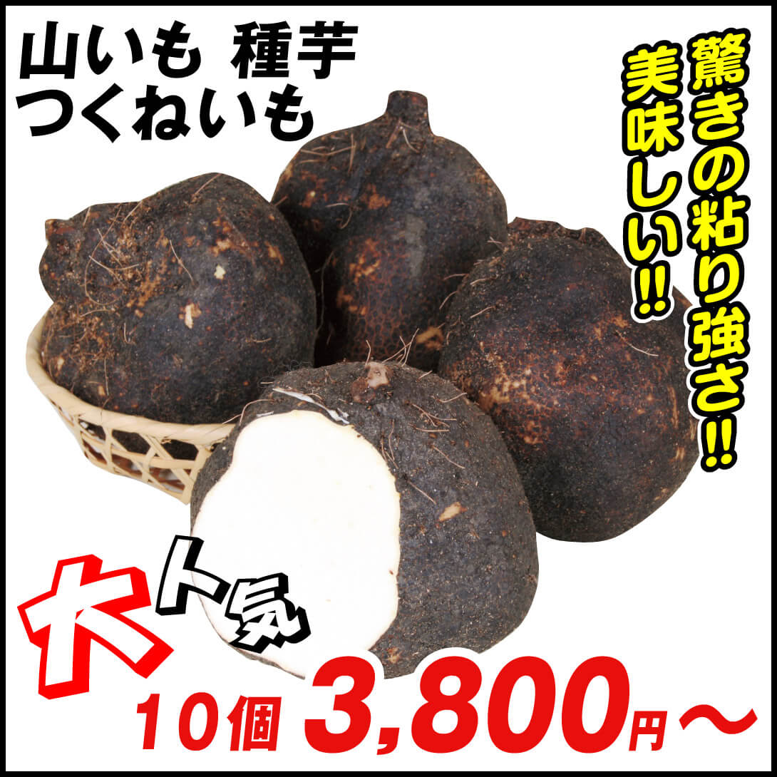 つくねいも