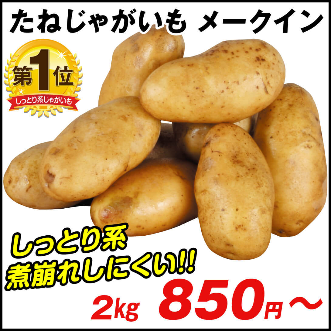 じゃがいも種芋 メークイン