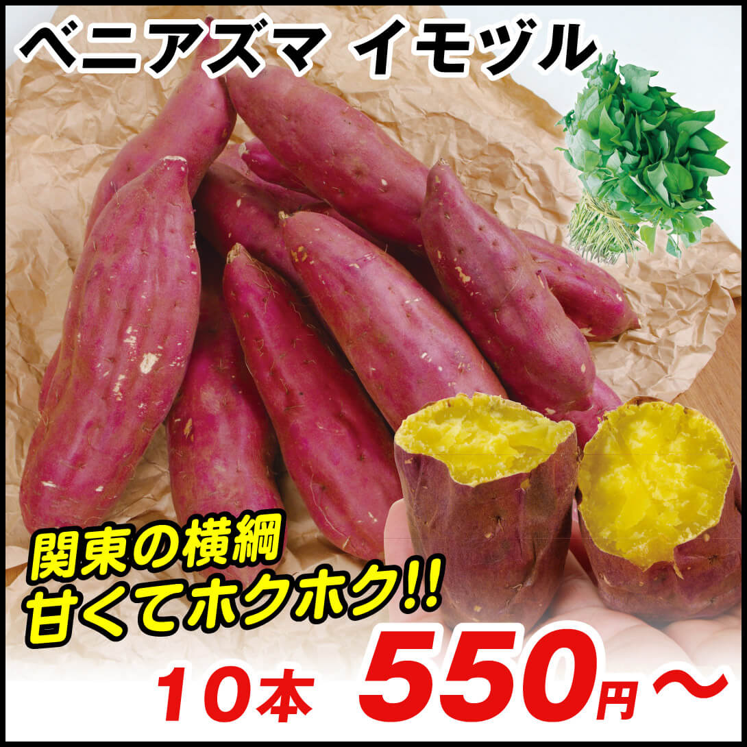 イモヅル 芋づる  ベニアズマイモヅル