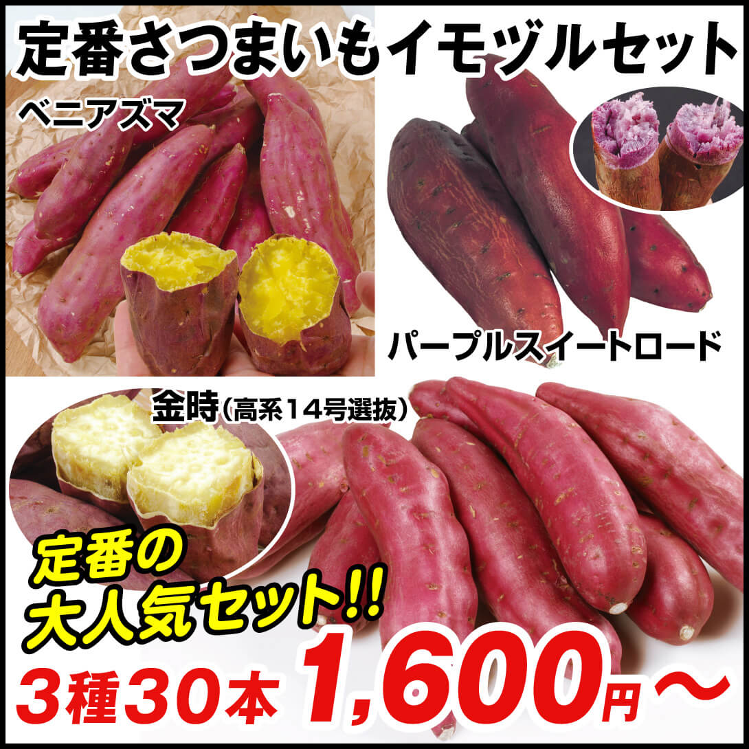 イモヅル 芋づる  定番さつまいもイモヅルセット