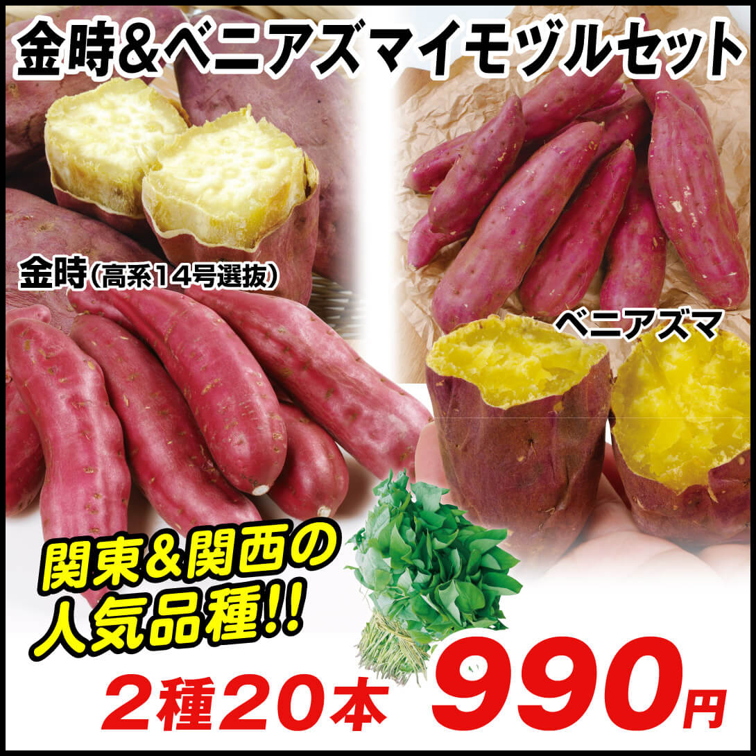 イモヅル 芋づる  金時＆ベニアズマさつまいもイモヅルセット