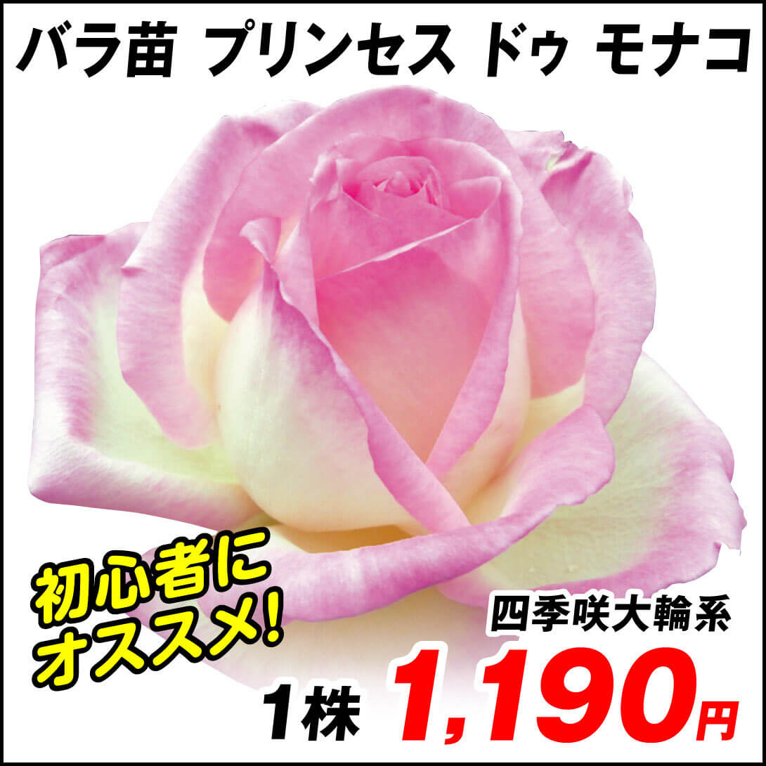 プリンセスドゥモナコ