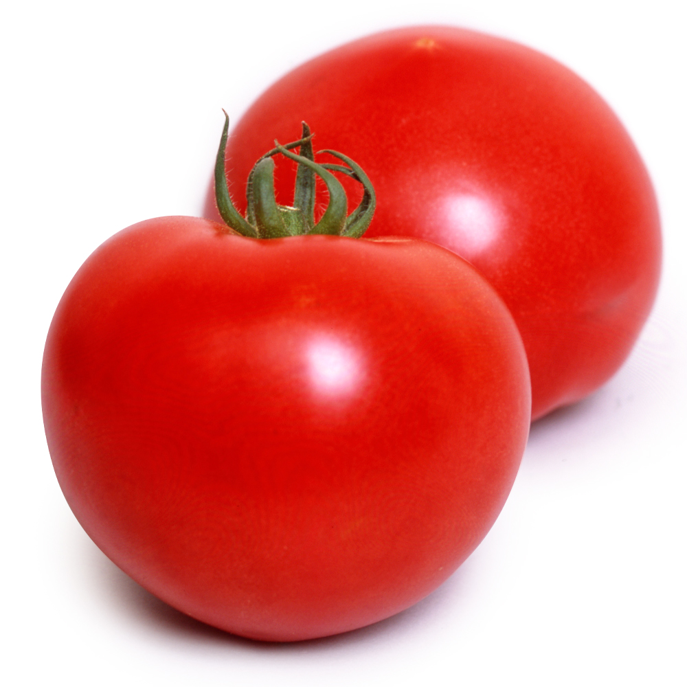 種 野菜たね トマト F1完熟まる味 1袋（0.5ml）