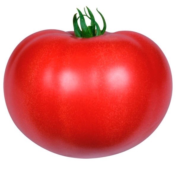 種 野菜たね トマト F1改良日向（ひなた） 1袋（0.8ml）