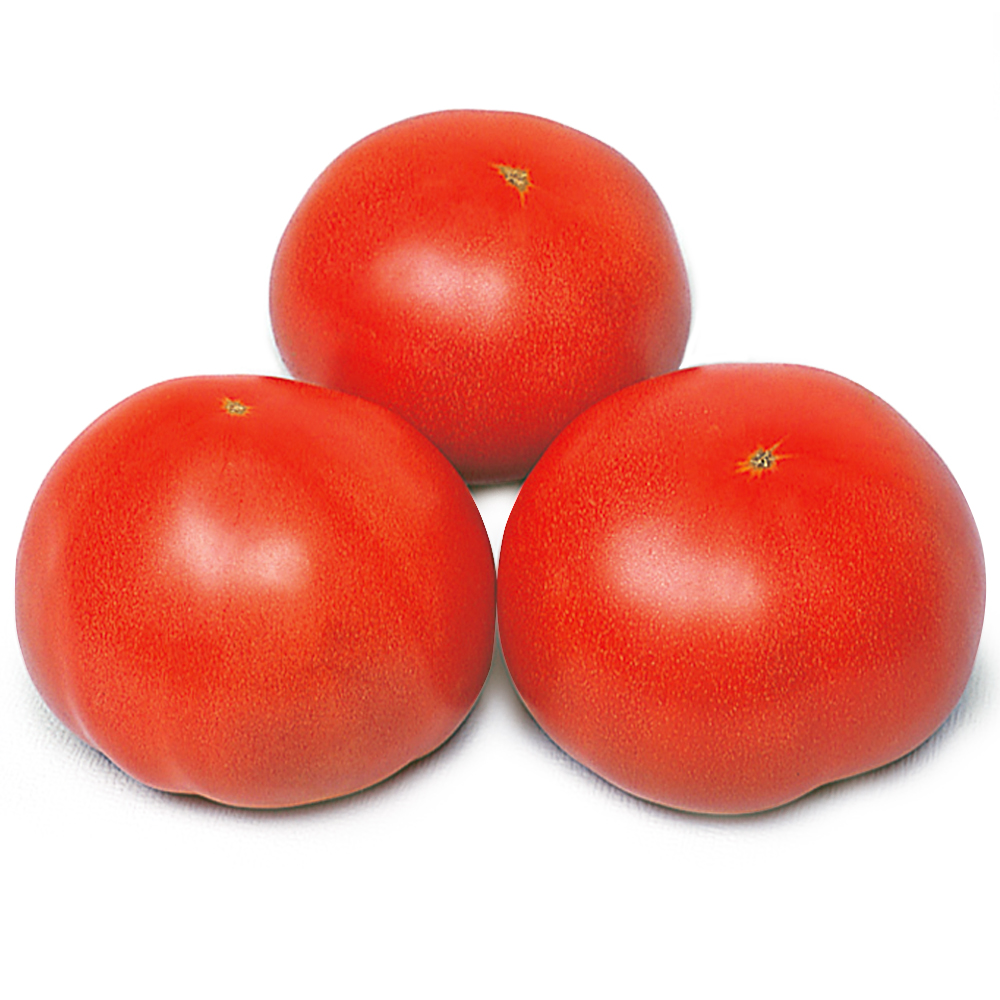 種 野菜たね トマト F1大寿 1袋（0.5ml）