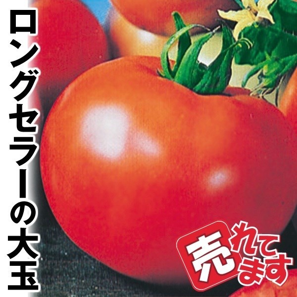 種 野菜たね トマト F1完熟ジュエル 1袋（0.5ml）