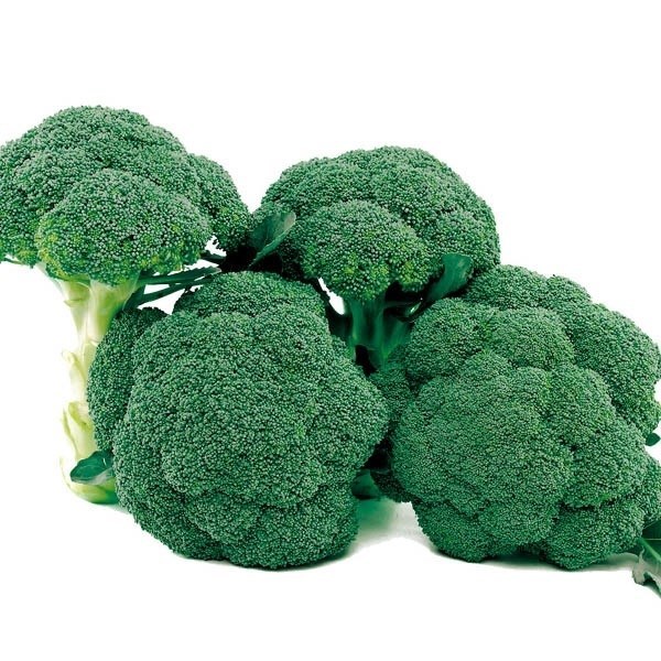 種 野菜たね ブロッコリー F1しっかり緑 1袋（1ml）