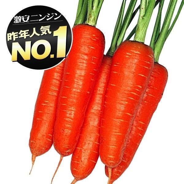 種 野菜たね ニンジン 大型五寸人参 1袋（10ml）