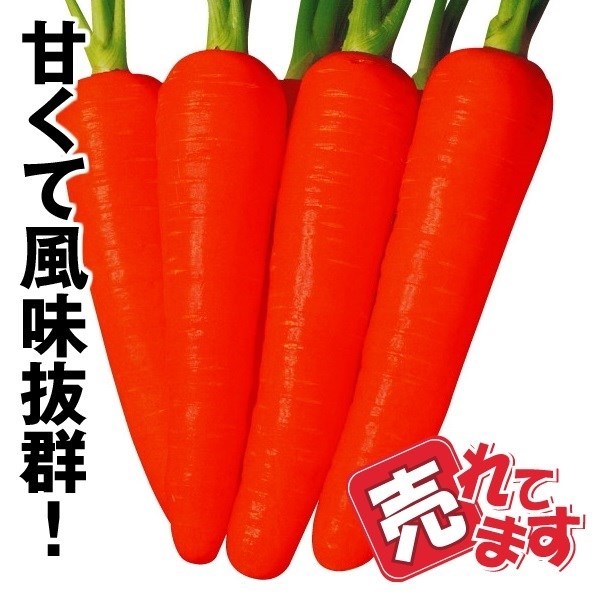 種 野菜たね ニンジン 紅光大型新五寸 1袋（10ml）