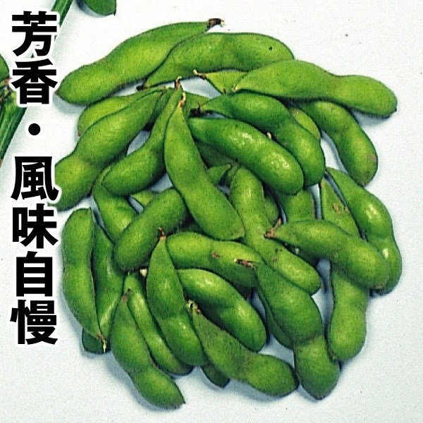 種 野菜たね 枝豆 香里 1袋（40ml）