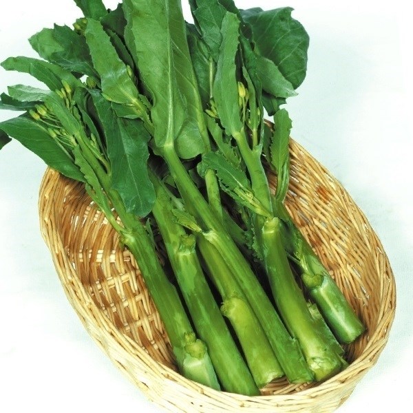 種 野菜たね 健康野菜 カイラン 1袋（10ml）