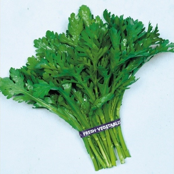 種 野菜たね 健康野菜 中葉しゅんぎく 1袋（30ml）