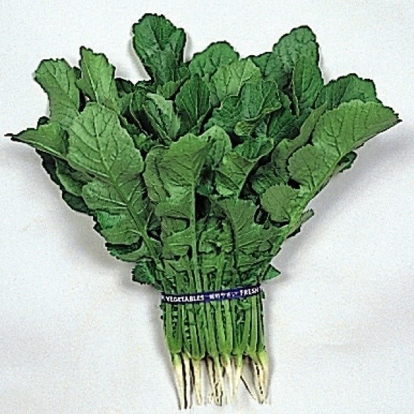 種 野菜たね 健康野菜 つまみ葉大根 1袋（10ml）