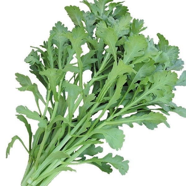 種 野菜たね 健康野菜 美味しい春菊 1袋（20ml）