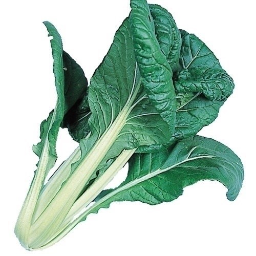 種 野菜たね 健康野菜 ビタミン菜 1袋（8ml）