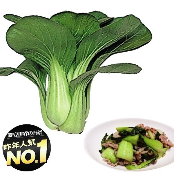 種 野菜たね 世界の野菜 F1チンゲンサイ 1袋(8ml)