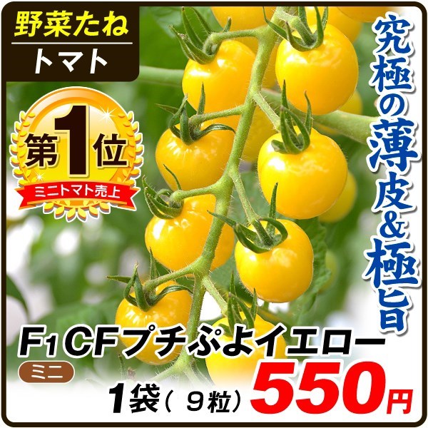 種 野菜たね トマト F1CFプチぷよイエロー 1袋（9粒）