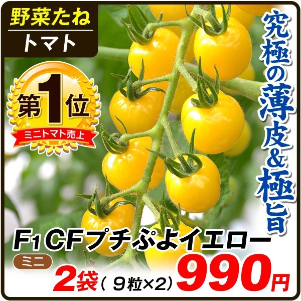 種 野菜たね トマト F1CFプチぷよイエロー 2袋（1袋9粒）