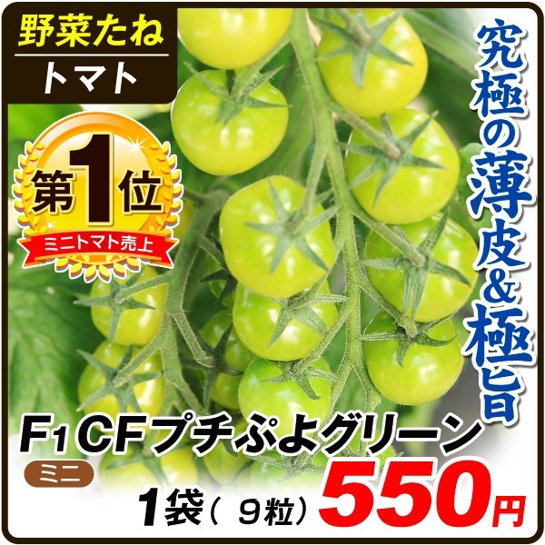 種 野菜たね トマト F1CFプチぷよグリーン 1袋（9粒）