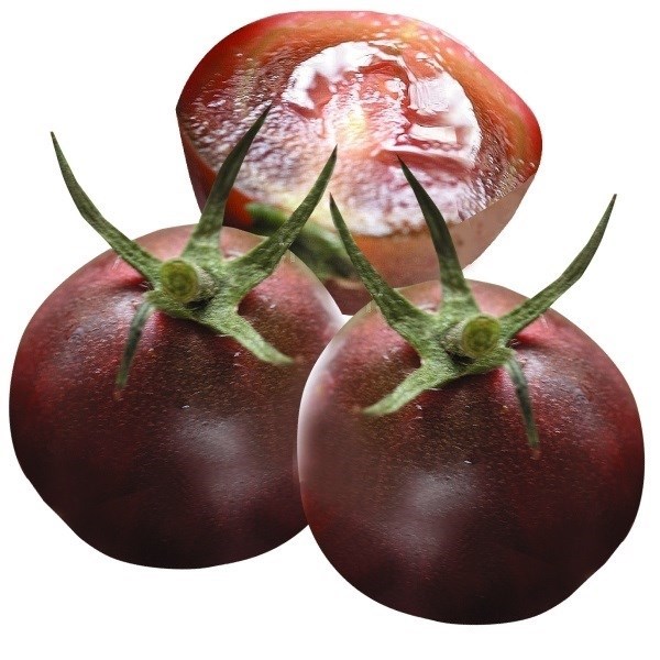 種 野菜たね トマト F1ブラックナイト 1袋（10粒）
