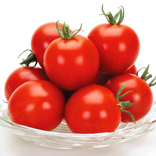 種 野菜たね トマト F1スイートルビー 1袋（10粒）