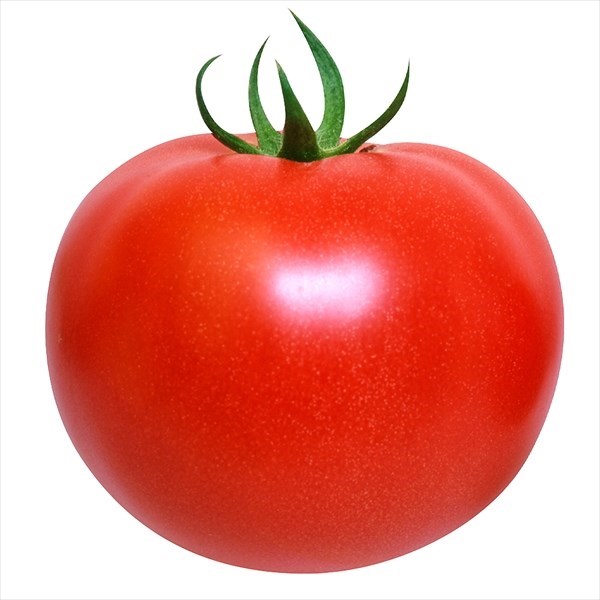 種 野菜たね トマト F1こくうまパーフェクトEX 1袋（1ml）