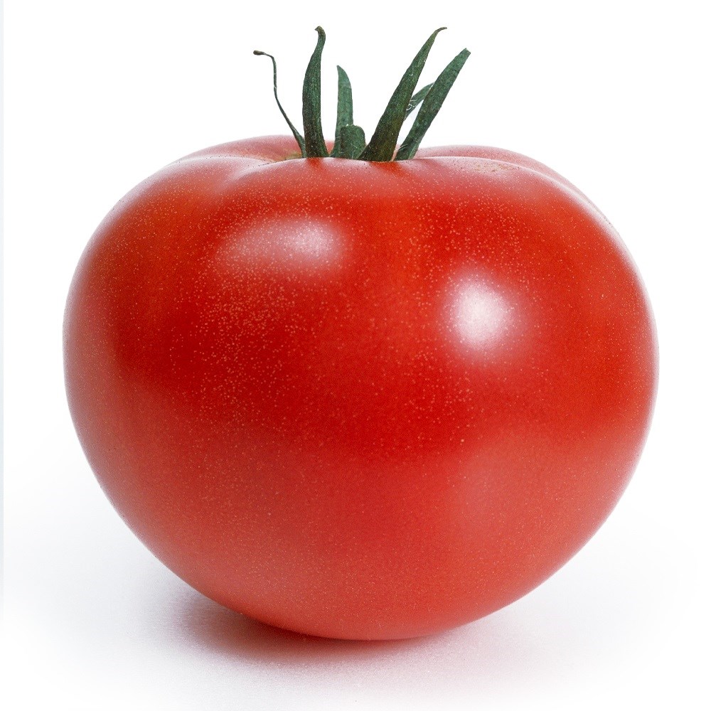 種 野菜たね トマト F1ホーム桃太郎R 1袋（27粒）
