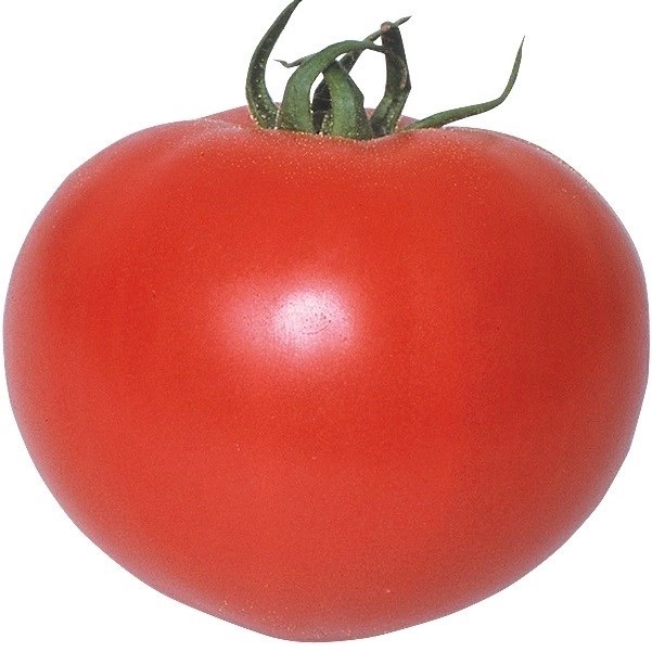 種 野菜たね トマト F1こくうまリッチ 1袋（12粒）