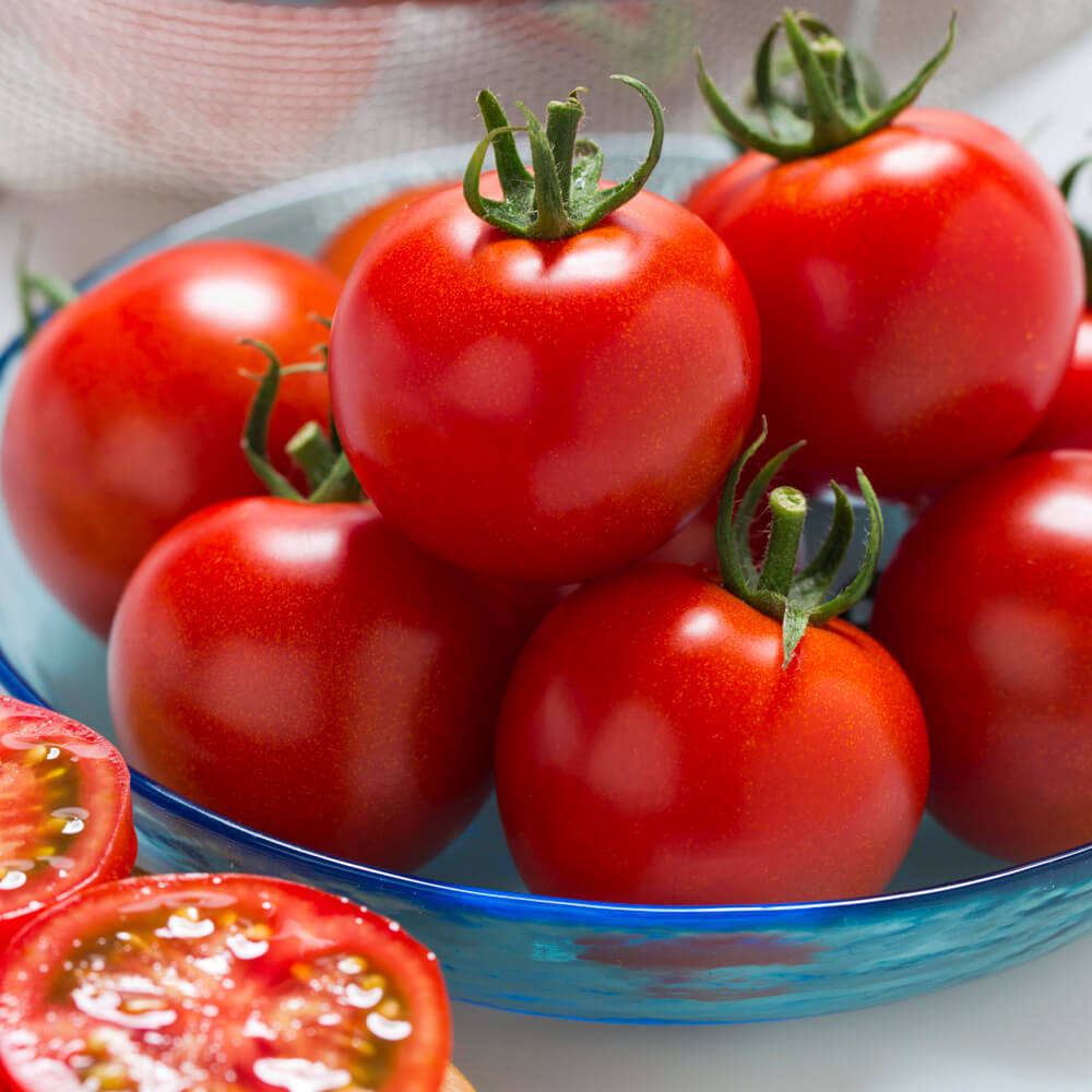 種 野菜たね トマト F1フルティカＰＶＰ（R） 1袋（16粒）
