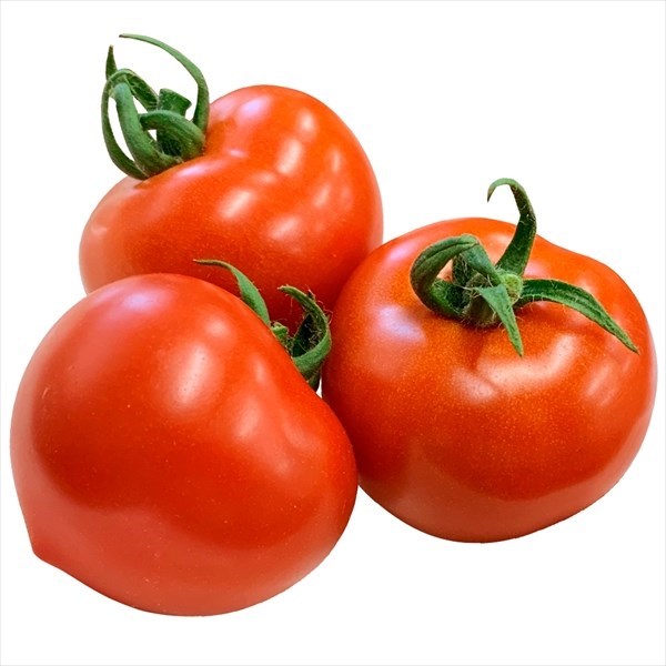 種 野菜たね トマト F1エコスマイルR（品種登録出願中） 1袋（6粒）