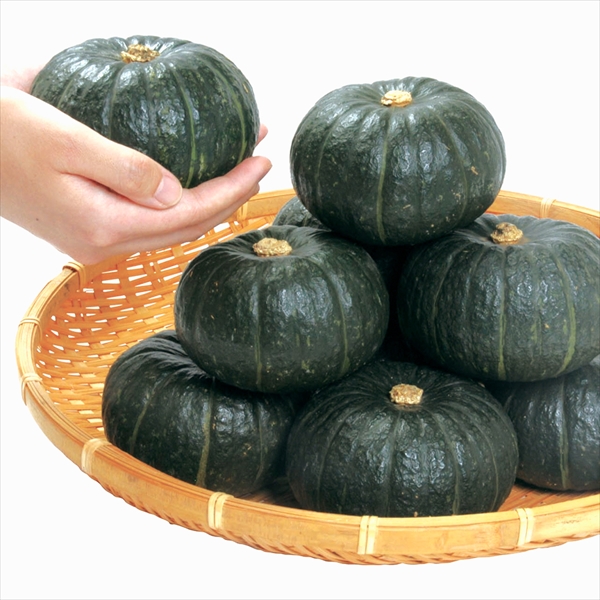 種 野菜たね カボチャ 栗てまりR 1袋（8粒）