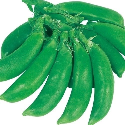 種 野菜たね 豌豆 サラダスナップ豌豆 1袋（30ml）