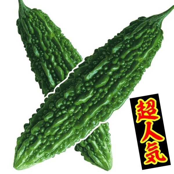種 野菜たね ゴーヤ 願寿苦瓜 1袋（8ml）